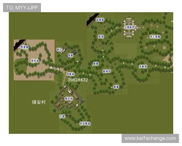 凯发手机版会员登录流程详解让新手玩家快速上手游戏体验